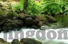 蜜桃色av一区二区三区麻豆-与未成年保护，远离风险，守护纯真